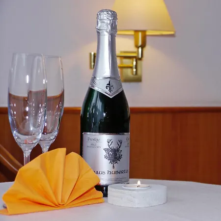 Naturparkhotel Haus Hubertus 奥伊宾